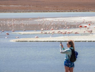 Uyuni Salt Flats 5-day excursion from La Paz